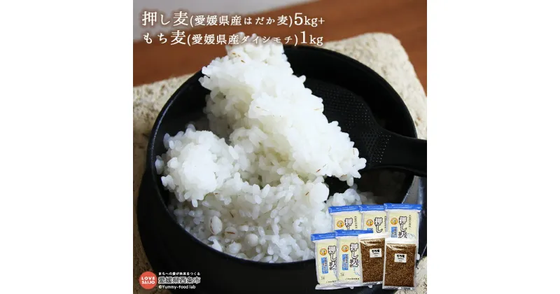 【ふるさと納税】＜押し麦(愛媛県産はだか麦)5kg+もち麦(愛媛県産ダイシモチ)1kg＞ ※翌月末迄に順次出荷 計6kg 押麦 大麦 雑穀 米 藤田精麦 愛媛県 西条市 【常温】