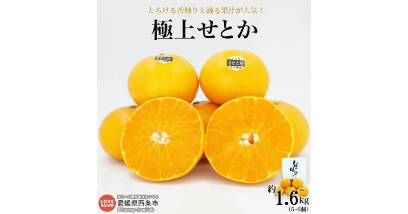 【ふるさと納税】＜「極上せとか」約1.6kg（2L～3L）＞※2025年2月下旬～3月末迄に順次出荷 贈答用 ギフト 贈り物 有機肥料 高糖度 甘い みかん ミカン 蜜柑 柑橘類 かんきつ フルーツ 果物 くだもの 特産品 期間限定 季節限定 旬 産地直送 茨木農園 愛媛県 西条市 【常温】