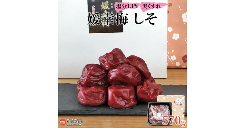 【ふるさと納税】＜媛幸梅 しそ 実くずれ 570g＞ ※翌月末迄に順次出荷 梅干 減塩 南高梅 佐伯食品 愛媛県 西条市 【常温】