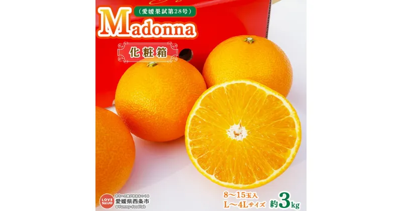 【ふるさと納税】予約受付 まどんな ＜Madonna（愛媛果試第28号） 約3kg 化粧箱 L〜4Lサイズ 8〜15玉入＞ ※2024年12月初旬から2025年1月中旬迄に順次出荷します。マドンナ 柑橘 果物 フルーツ みかん ミカン ギフト 贈答用 贈り物 お歳暮 鴻上農園 愛媛県 西条市 【常温】