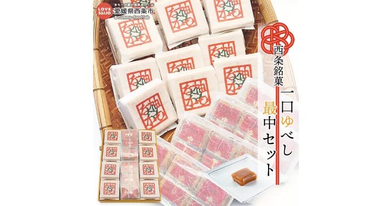 【ふるさと納税】＜西条銘菓　一口ゆべし・最中セット＞ ※翌月末迄に順次出荷します。 スイーツ お菓子 和菓子 銘菓 餅菓子 柚餅子 ゆべし 柚子 もなか お茶請け 株式会社星加のゆべし 愛媛県 西条市【常温】