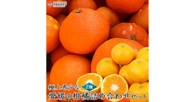 【ふるさと納税】＜極上希少な愛媛の柑橘詰め合わせセット 「極上愛果28号＆完熟夢みかん」＞※2024年12月中旬～12月下旬迄に順次出荷します。 愛媛オリジナル高級品種 愛媛果試第28号 ミカン 蜜柑 果物 フルーツ 柑橘 食べ比べ 茨木農園 愛媛県 西条市 【常温】