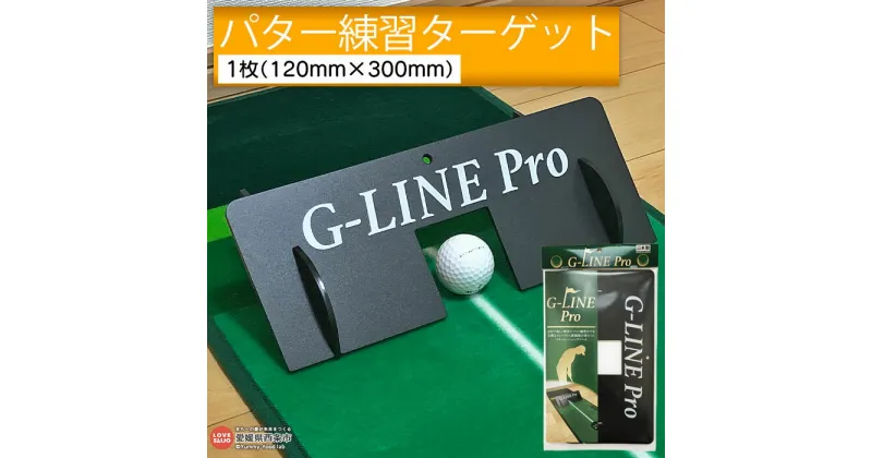 【ふるさと納税】＜パター練習用ターゲット「G-LINE Pro」＞※翌月末迄に順次出荷します。 ゴルフ用品 パッティングターゲット パター練習 パッティング練習 持ち運びに便利 練習器具 日本製 日泉ポリテック 愛媛県 西条市 【常温】