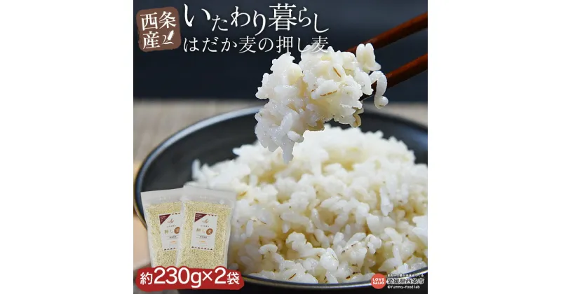 【ふるさと納税】＜いたわり暮らし 西条産 はだか麦の押し麦 (230g×2袋セット)＞ ※翌月末迄に順次出荷します。 西条市産 国産 大麦 食物繊維 雑穀米 小分け 混ぜて炊くだけ ご飯 ごはん 産地直送 特産品 愛媛県 西条市【常温】