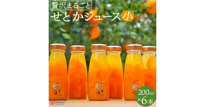 【ふるさと納税】＜贅沢まるごと せとかジュース（小）200ml×6本＞ ※翌月末迄に順次出荷します。 果肉 果汁 みかん ミカン オレンジ 蜜柑 柑橘 砂糖・保存料なし おやつ デザート アレンジ 贈答用 ギフト プレゼント カルモ キッチンアトリエCalmo 愛媛県 西条市 【常温】