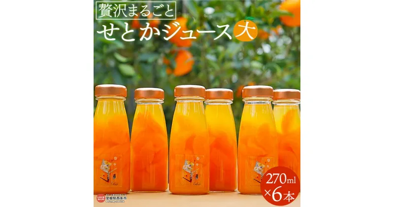 【ふるさと納税】＜贅沢まるごと せとかジュース（大）270ml×6本＞ ※翌月末迄に順次出荷します。 果肉 果汁 みかん ミカン オレンジ 蜜柑 柑橘 砂糖・保存料なし おやつ デザート アレンジ 贈答用 ギフト プレゼント カルモ キッチンアトリエCalmo 愛媛県 西条市 【常温】