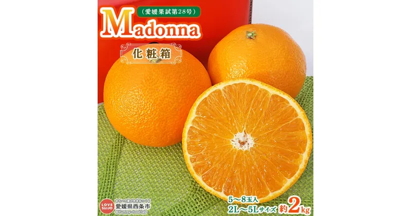 【ふるさと納税】＜Madonna 約2kg 化粧箱入り（2L～5Lサイズ 5～8玉）＞ ※2024年12月初旬～2025年1月中旬迄に順次出荷。 愛媛果試第28号 みかん ミカン 蜜柑 まどんな マドンナ 高級柑橘 果物 フルーツ 国産 プリンセスファーム 鴻上農園 愛媛県 西条市 【常温】