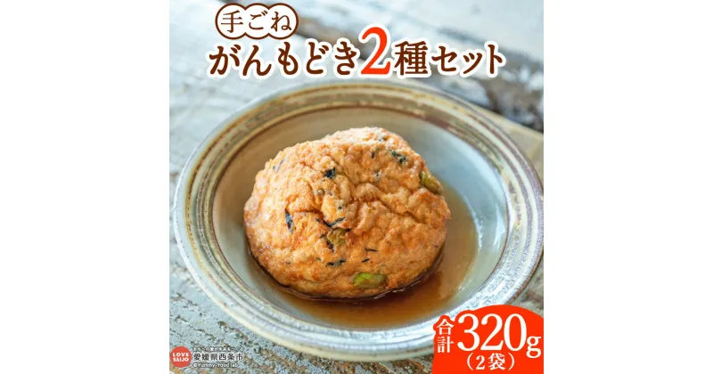 【ふるさと納税】＜手ごねがんもどき 2種セット 2袋合計320g＞※翌月末迄に順次出荷します。がんも 2種類 詰め合わせ つめあわせ 食べ比べ 手作り てづくり グルメ 和食 お出汁 ふわふわ 大豆 とうふ 煮物 国産 伝統料理 ソイリクル SOILIKKLE 愛媛県 西条市【冷凍】