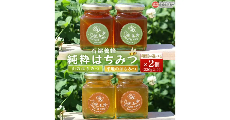 【ふるさと納税】【種類が選べる】＜石鎚養蜂 純粋はちみつ 230g×2個セット（全2種類：山のはちみつ・平地のはちみつ）＞※翌月末迄に順次出荷 計460g ハチミツ 蜂蜜 自然 こだわり 百花 非加熱 天然 純粋蜂蜜 国産 西条市産 愛媛県 西条市【常温】