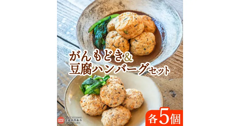 【ふるさと納税】＜がんも5個入り、豆腐ハンバーグ5個入りセット＞※翌月末迄に順次出荷します。がんもどき 詰め合わせ つめあわせ 手作り てづくり グルメ 和食 ふわふわ 大豆 とうふ 山芋 根菜 ひじき 枝豆 煮物 国産 伝統料理 ソイリクル SOILIKKLE 愛媛県 西条市【冷凍】