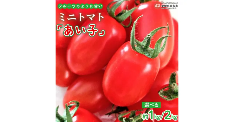 【ふるさと納税】＜ミニトマト「あい子」約1kg/約2kg＞ ※2024年11月上旬から順次出荷します。 選べる内容量 アイコ 人気の品種 フルーツのように甘い 甘くてフルーティ リコピン2倍 ビタミン 栄養豊富 新鮮 名水育ち 国産 産地直送 野菜工房ていずい 愛媛県 西条市 【冷蔵】