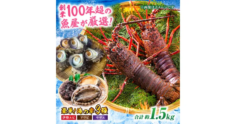 【ふるさと納税】 天然 魚介 3種 セット！ （ イセエビ 約 300g・ アワビ 約 200g ・ サザエ 約 1kg ） 老舗鮮魚店の厳選！ イセエビ 伊勢海老 アワビ 鮑 サザエ 魚介類 鮮魚 海鮮 大洲市/天然活魚 濱 屋[AGBP005]