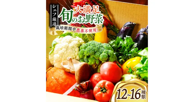 【ふるさと納税】 旬の 野菜セット 【シェフの目線】 野菜 詰め合わせ セット 有機 農薬不使用 新鮮 健康 サラダ＼レビューキャンペーン中／愛媛県大洲市/ヒロファミリーフーズ [AGBX003] 24000円 24000 二万四千 二万四千円