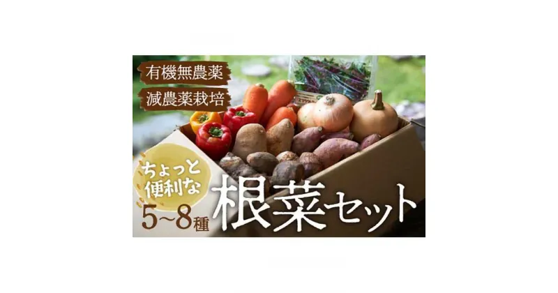 【ふるさと納税】 根菜 × おまかせ 旬 野菜セット 【シェフの目線】 根菜 野菜 詰め合わせ セット 新鮮 有機 サラダ＼レビューキャンペーン中／愛媛県大洲市/有限会社ヒロファミリーフーズ [AGBX012] 21000円 21000 二万一千