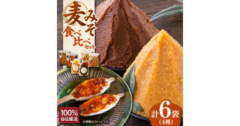 【ふるさと納税】本物の味を毎日の食卓へ！たつみ 麦みそ4種食べ比べセット 醤油 しょうゆ 味噌 みそ 調味料 ＼レビューキャンペーン中／愛媛県大洲市/株式会社梶田商店[AGBB011] 13000円 13000