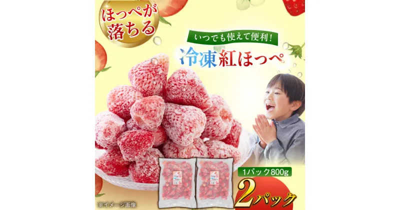 【ふるさと納税】【冷凍】いちご 紅ほっぺ 1.6kg（800g×2パック） ＼レビューキャンペーン中／愛媛県大洲市/沢井青果[AGBN041] いちご 冷凍 イチゴ 苺 フルーツ 果物 くだもの ふるーつ 冷凍いちご13000円 13000