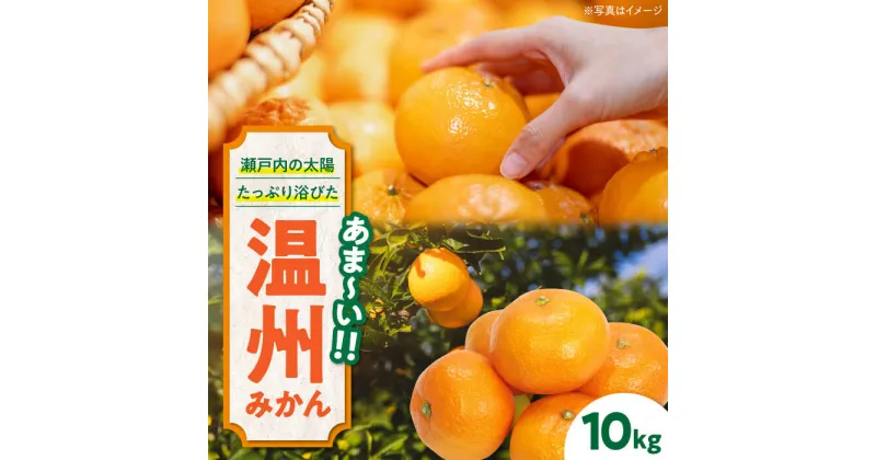 【ふるさと納税】【先行予約】【11月下旬から順次発送】 温州みかん 10kg 愛媛県大洲市/永沼農園[AGAW002] 温州みかん 果物 フルーツ みかん 柑橘 17000円 17000 一万七千 一万七千円