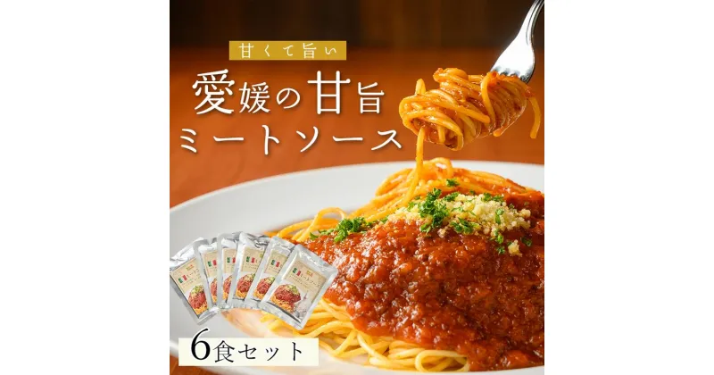 【ふるさと納税】【ご当地特選グルメ！】 手作り ミートソース （ 6食 入り） ミートソース パスタ スパゲティ パスタソース レトルト ギフト 大洲市/有限会社ヒロファミリーフーズ[AGBX017] 13000円 13000 一万三千 一万三千円