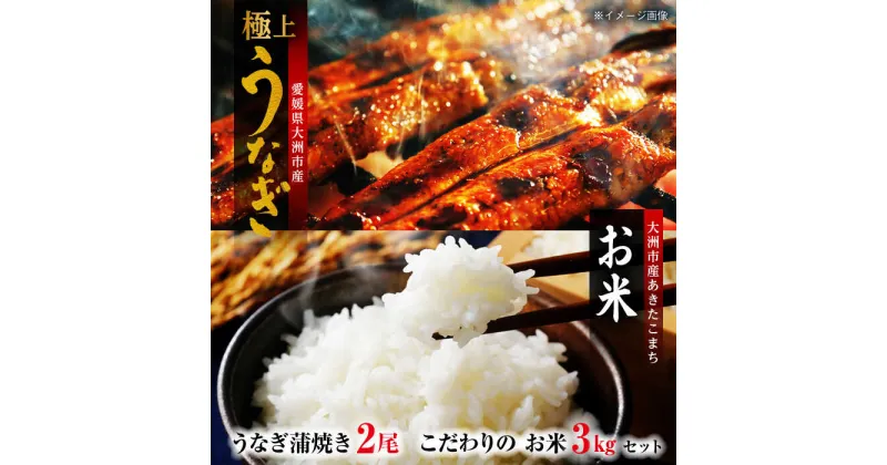 【ふるさと納税 国産うなぎ！秘伝のタレで焼き上げた「うなぎ蒲焼き 2尾」と地元生産者こだわりの「 お米 3kg 」セット 国産うなぎ うなぎ蒲焼 鰻重 うな丼 お米 愛媛県大洲市/有限会社 樽井旅館[AGAH004] 44000円 44000 四万四千