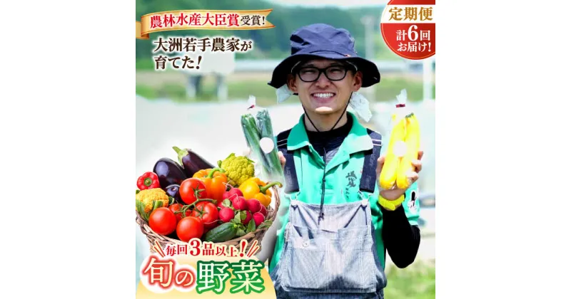 【ふるさと納税】【全6回定期便】 旬の 野菜 定期便 生産者の顔が見えるから安心して食べられる！ 新鮮 野菜 野菜セット 果物 果物セット ＼レビューキャンペーン中／愛媛県大洲市/大洲市青年農業者協議会[AGBL001] 63000円 63000