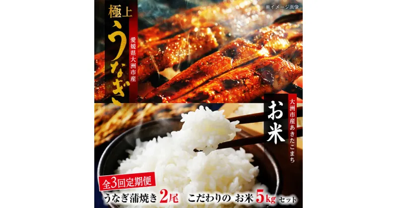 【ふるさと納税】【全3回定期便】 国産うなぎ ！秘伝のタレで焼き上げた「うなぎ蒲焼き2尾」と生産者こだわりの「お米 5kg」セット 国産うなぎ うなぎ蒲焼 鰻重 うな丼 お米 愛媛県大洲市/有限会社 樽井旅館[AGAH008]