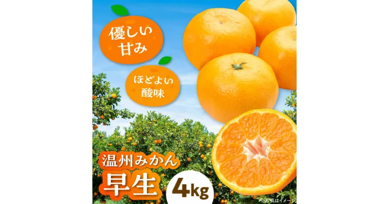 【ふるさと納税】【先行予約】【11月から順次発送】【まごころ手選り手詰め】 温州みかん 早生 約4kg 愛媛県大洲市/カームシトラス[AGBW003] 10000円 10000 一万 一万円 温州みかん ミカン みかん 果物 くだもの フルーツ