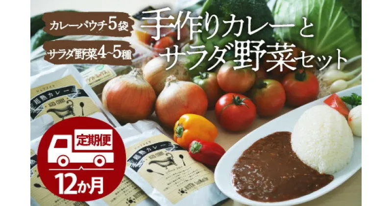 【ふるさと納税】【全12回定期便】【シェフの目線】 旬の 野菜セット × こだわりの 手作り カレー （ 5袋 ）栽培期間中農薬不使用 カレー レトルトカレー サラダ 野菜 定期便 愛媛県大洲市/有限会社ヒロファミリーフーズ[AGBX027]