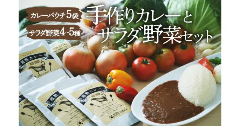 【ふるさと納税】【シェフの目線】 旬の 野菜セット × こだわりの 手作り カレー（5袋）栽培期間中 農薬不使用 カレー レトルトカレー サラダ 野菜 詰め合わせ 大洲市/ヒロファミリーフーズ[AGBX025] 24000円 24000 二万四千