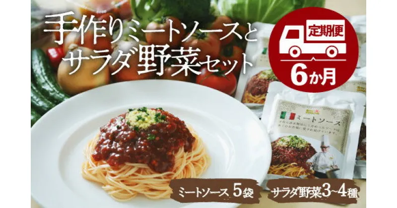 【ふるさと納税】【全6回定期便】【シェフの目線】 サラダ 野菜セット ×シェフ自慢の ミートソース 付き（ 135g × 5袋 ） 栽培期間中農薬不使用 ミートソース パスタ サラダ 野菜 定期便 大洲市/ヒロファミリーフーズ[AGBX030]