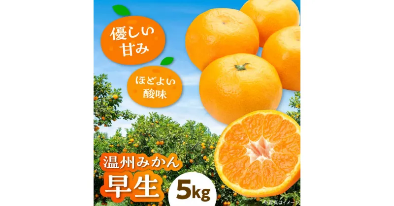 【ふるさと納税】【先行予約】【11月上旬から順次発送】【まごころ手選り手詰め】 温州みかん 早生 約5kg 愛媛県大洲市/カームシトラス[AGBW004] 13000円 13000 温州みかん ミカン 果物 くだもの フルーツ