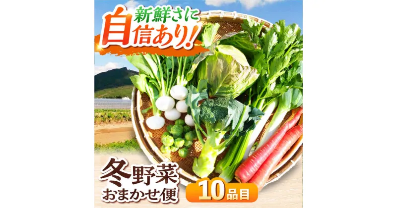 【ふるさと納税】【11月中旬から順次発送】 冬 野菜 おまかせ便 10種 寒い冬の温かな 料理 に！かとう旬菜畑 から 直送 野菜 冬野菜 旬 鍋 料理 愛媛県大洲市/かとう旬菜畑[AGCW001] 14000円 14000 一万四千 一万四千円