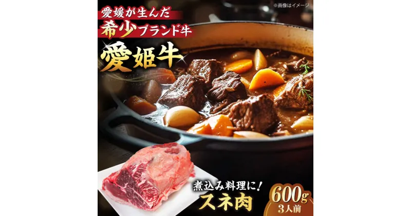 【ふるさと納税】【冷凍】 牛肉 愛姫牛 スネ肉 600g （ 3人前 ） 牛肉 ステーキ 国産 スネ お肉 焼肉 送料無料 お取り寄せ グルメ 愛媛県大洲市/有限会社 木村屋精肉店[AGCC039] 14000円 14000 一万四千 一万四千円