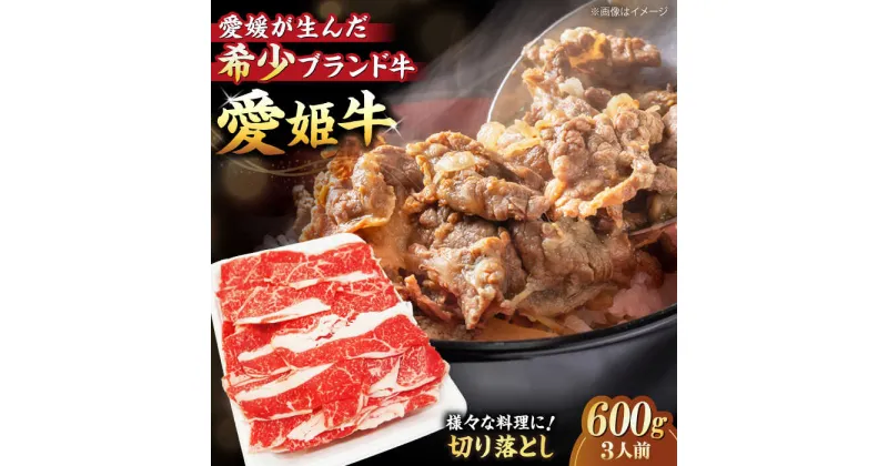 【ふるさと納税】【冷凍】 牛肉 愛姫牛 切り落とし 600g （ 3人前 ）牛肉 ステーキ 国産 お肉 焼肉 切り落とし 送料無料 お取り寄せ 愛媛県大洲市/有限会社 木村屋精肉店[AGCC029] 21000円 21000 二万一千 二万一千円