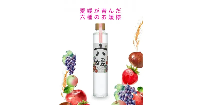 【ふるさと納税】B01道後ジン 六媛　200ml