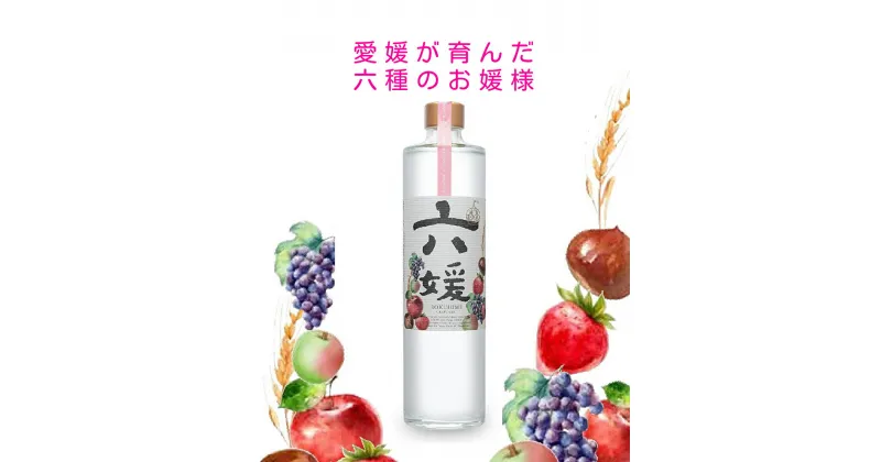 【ふるさと納税】C02道後ジン 六媛　500ml