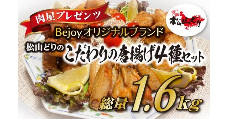 【ふるさと納税】唐揚げ 冷凍 国産 4種セット 愛媛県産 Bejoy｜B78