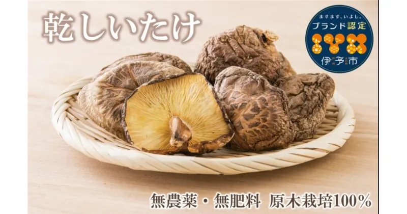 【ふるさと納税】乾しいたけ 出汁 出汁文化のまち伊予の乾しいたけ 約180g 和食 本格出汁 干し椎茸 原木栽培 うま味 正月 年越し 迎春 お年賀 年末 年始 伊予市｜B85