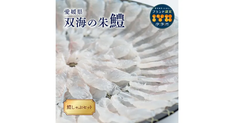 【ふるさと納税】鱧 冷凍 鱧しゃぶセット 鍋 3～4人前 伊予市 愛媛県産 国産 | B102