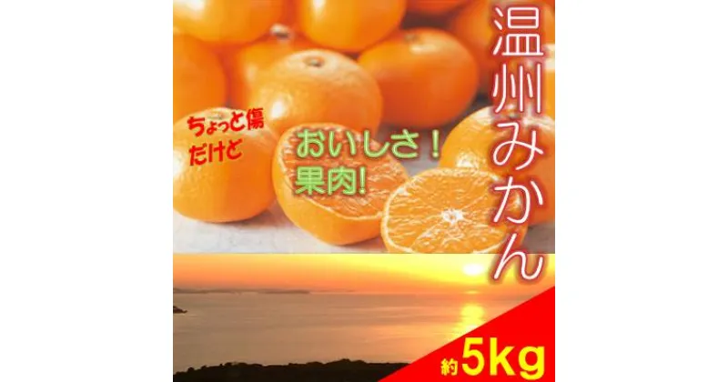 【ふるさと納税】訳あり 温州みかん 5kg ご家庭用 人気 数量限定 先行予約 愛媛 みかん 柑橘 【2024年11月以降順次発送】｜B149