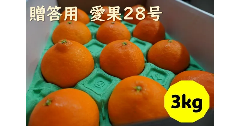 【ふるさと納税】愛果28号 3kg 贈答用 【2024年12月配送】 みかん 愛媛 人気 数量限定 先行予約 柑橘 伊予市｜B219