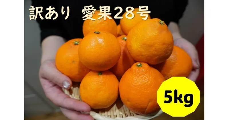 【ふるさと納税】訳あり 愛果28号 5kg サイズミックス 【2024年12月配送】みかん 愛媛 数量限定 先行予約 柑橘 伊予市｜B220