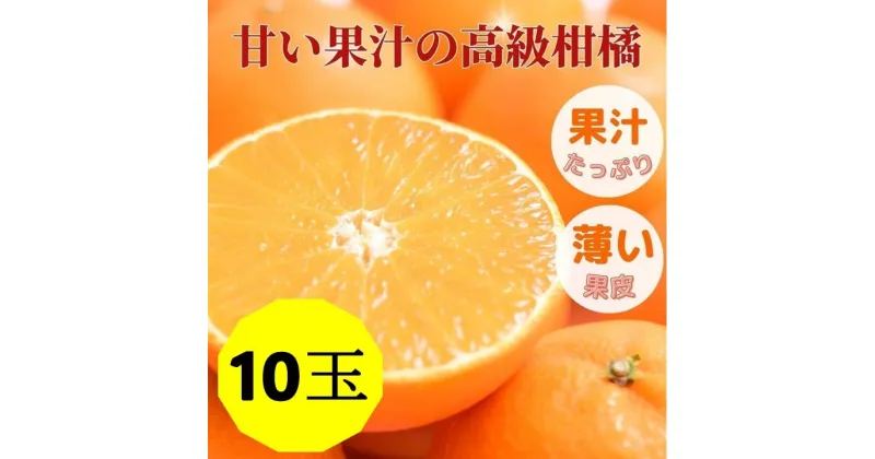 【ふるさと納税】愛果28号 10玉入り 2L～3L 先行予約 12月発送 愛媛 数量限定 愛媛県産 人気 柑橘 伊予市｜C56