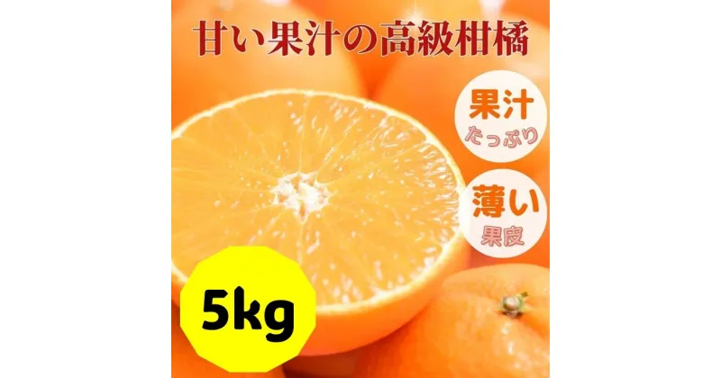 【ふるさと納税】愛果28号 バラ詰め 5kg 先行予約 12月発送 愛媛 数量限定 愛媛県産 人気 柑橘 伊予市｜C57