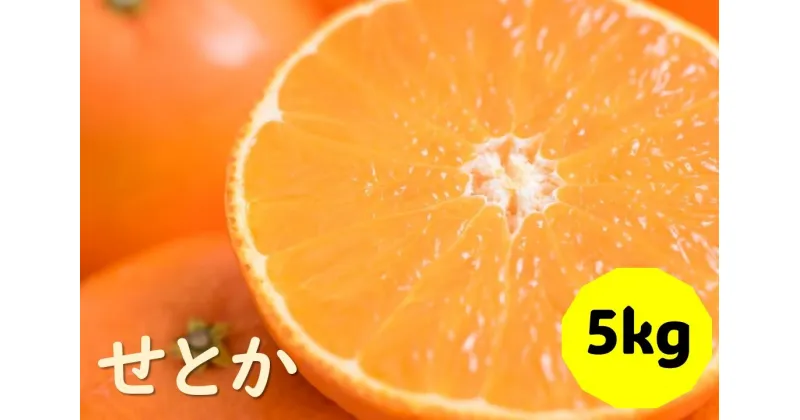 【ふるさと納税】せとか バラ詰め 5kg 先行予約 2025年1月発送 愛媛 数量限定 愛媛県産 人気 柑橘 伊予市｜C55