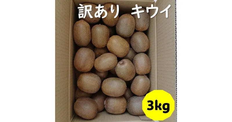 【ふるさと納税】訳あり キウイ 3kg B品 愛媛 国産 キウイフルーツ ヘイワード 数量限定 伊予市 【2024年11月配送】｜B263