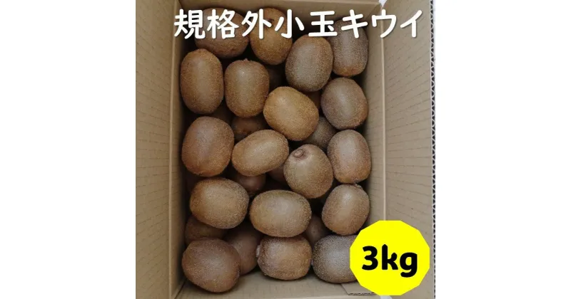 【ふるさと納税】訳あり キウイ 3kg 小玉 愛媛 国産 キウイフルーツ 規格外 数量限定 伊予市 【2024年11月配送】｜B264