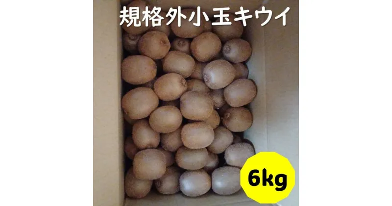 【ふるさと納税】訳あり キウイ 6kg 小玉 愛媛 国産 キウイフルーツ 規格外 数量限定 伊予市 【2024年11月配送】｜B265