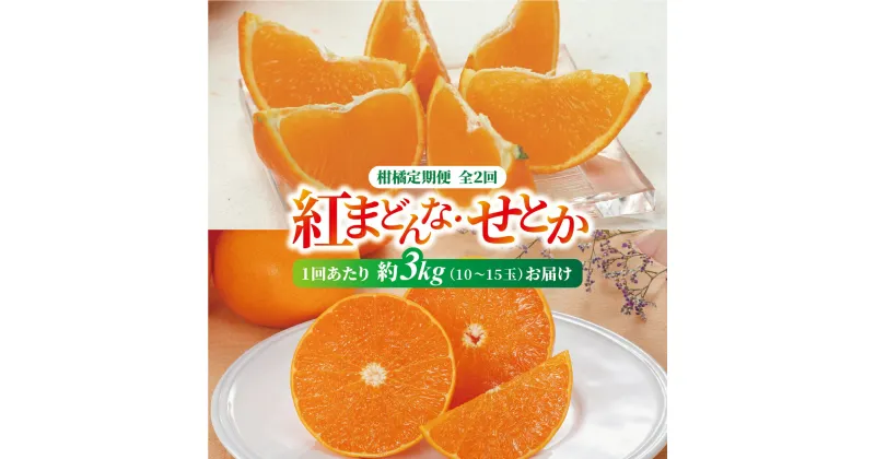 【ふるさと納税】紅まどんな・せとか 青秀 定期便（全2回） 約3kg L～3L（15～10玉） 人気 数量限定 柑橘 伊予市 | D33