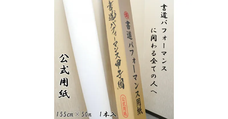 【ふるさと納税】書道パフォーマンス 用紙