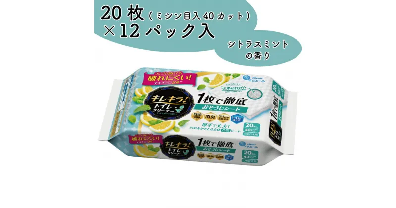 【ふるさと納税】キレキラ！ トイレクリーナー 1枚で徹底お掃除シート シトラスミントつめかえ用 20枚×12パック